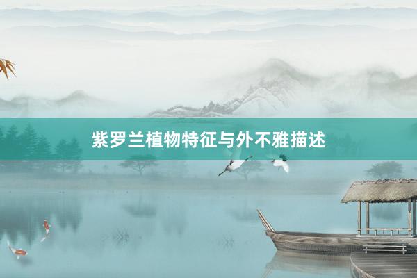 紫罗兰植物特征与外不雅描述